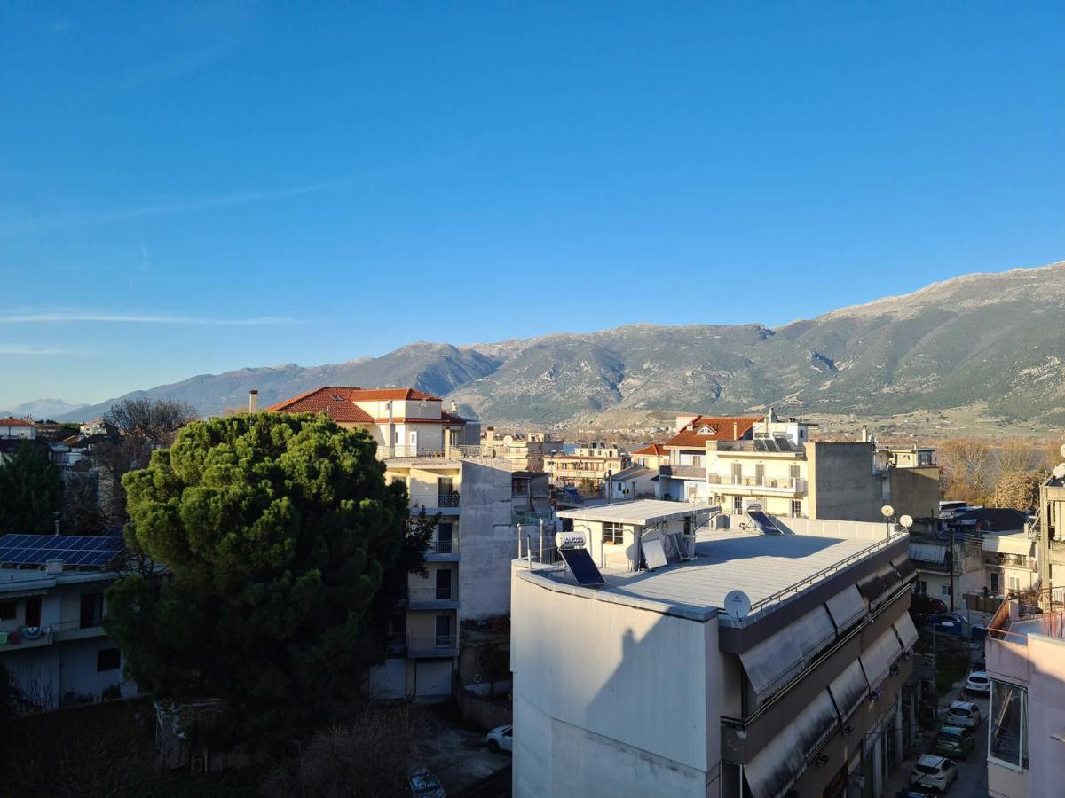 Comfy Urban Apartment Ioannina Eksteriør billede
