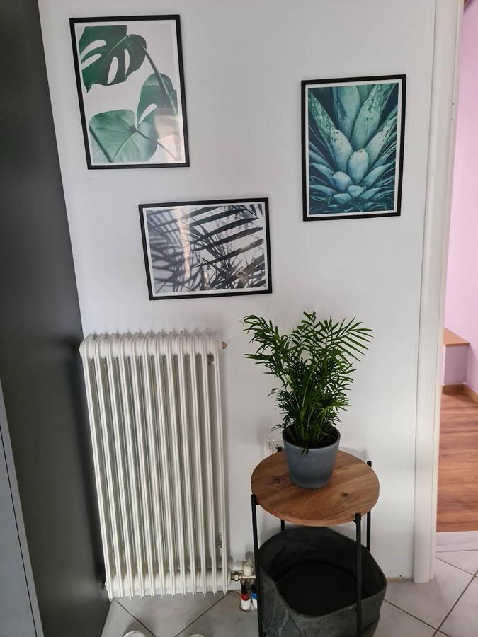 Comfy Urban Apartment Ioannina Eksteriør billede